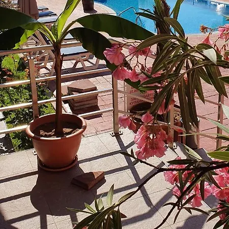 아파트 Cacao 써니비치