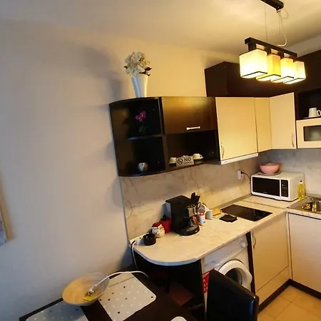 Daire Cacao Sunny Beach