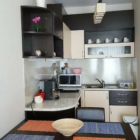 Cacao * 써니비치