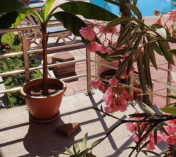 Apartament Cacao Sunny Beach